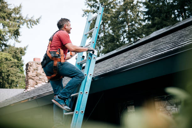 Best Roof Moss and Algae Removal  in Mount Gilead, OH